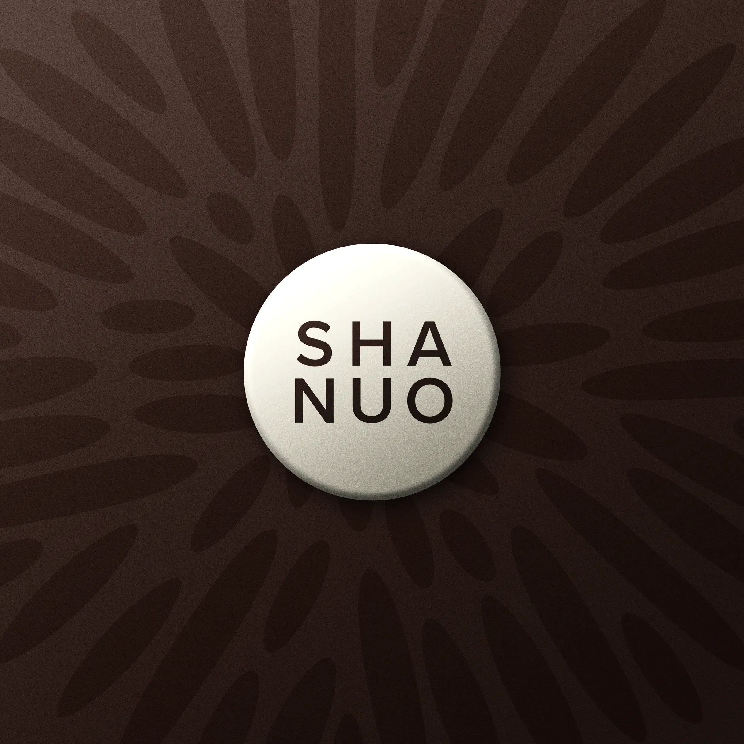 shanuo zanzibar resort
