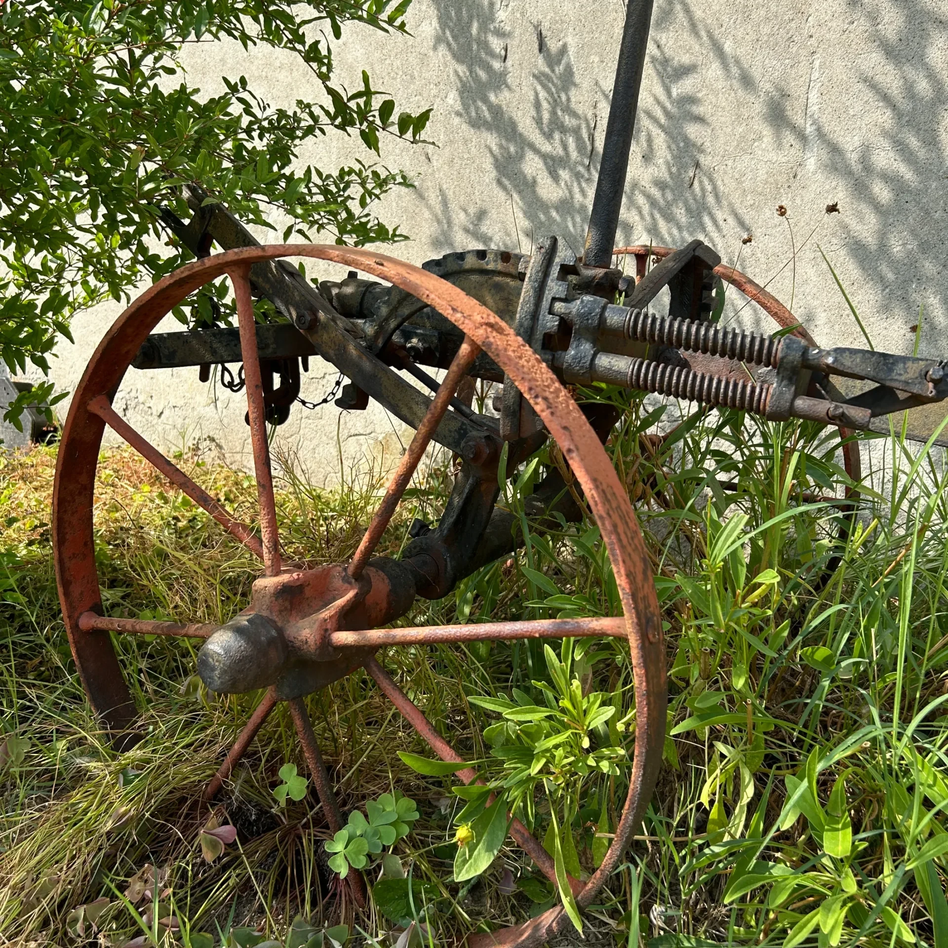 oltrepò pavese azienda agricola orlandi