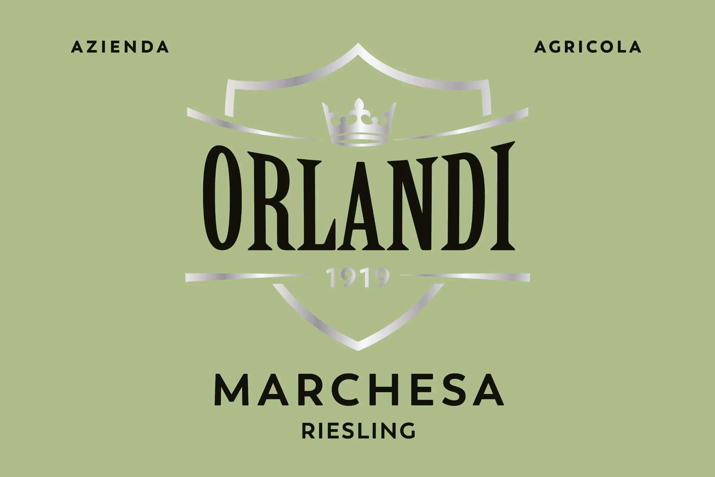 vino oltrepò pavese azienda agricola orlandi
