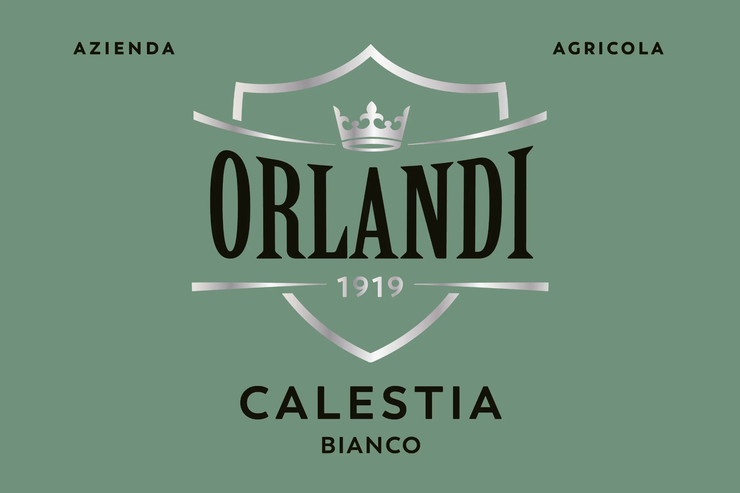 vino oltrepò pavese azienda agricola orlandi