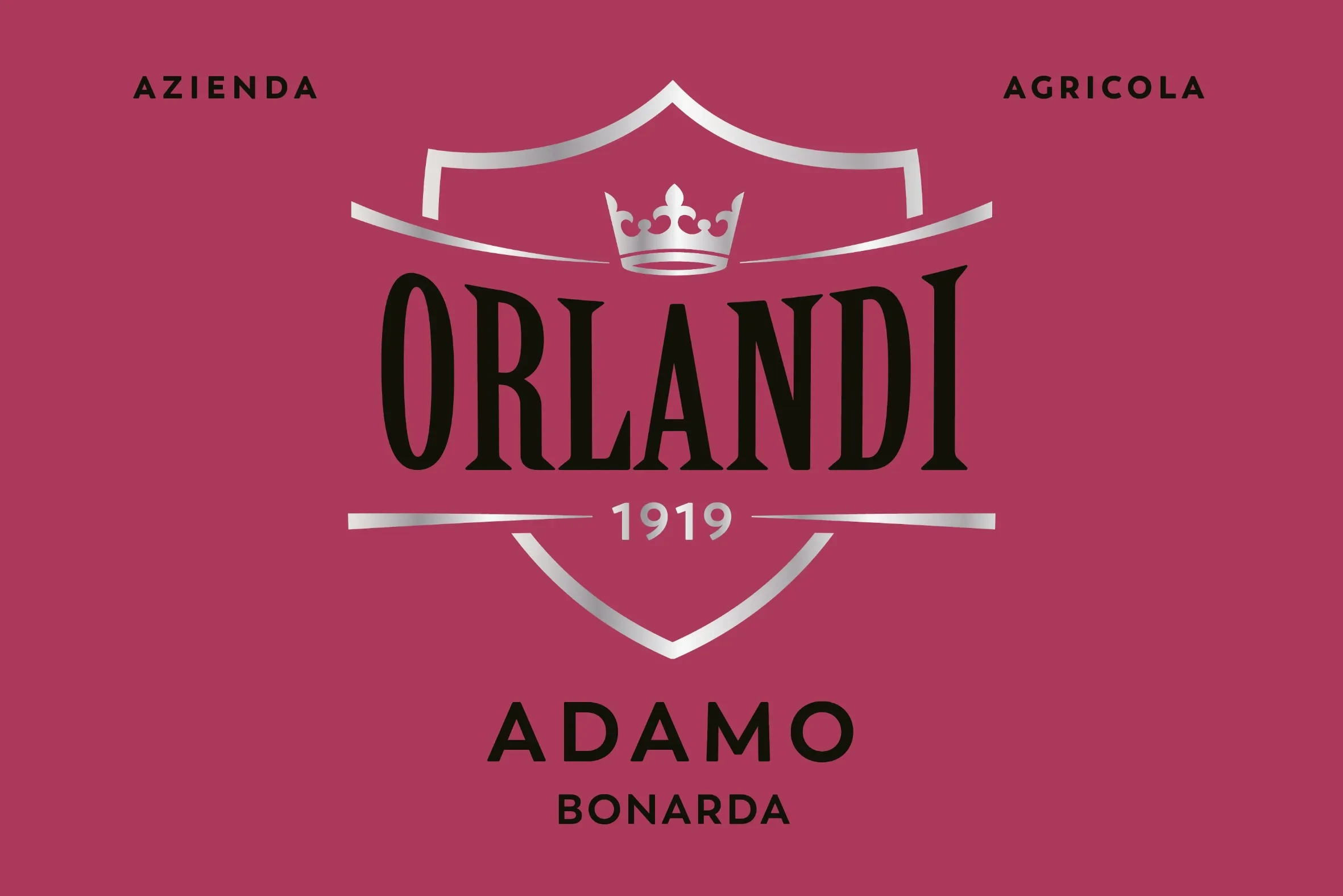 vino oltrepò pavese azienda agricola orlandi